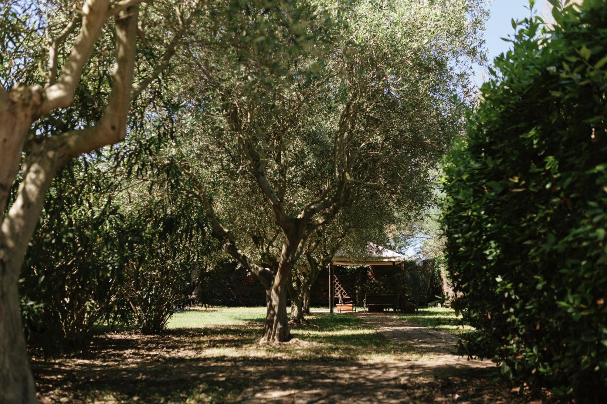 Villa Chiara פורטו רקנאטי מראה חיצוני תמונה